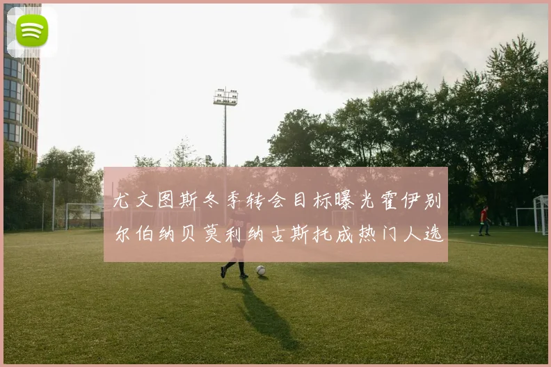 尤文图斯冬季转会目标曝光霍伊别尔伯纳贝莫利纳古斯托成热门人选